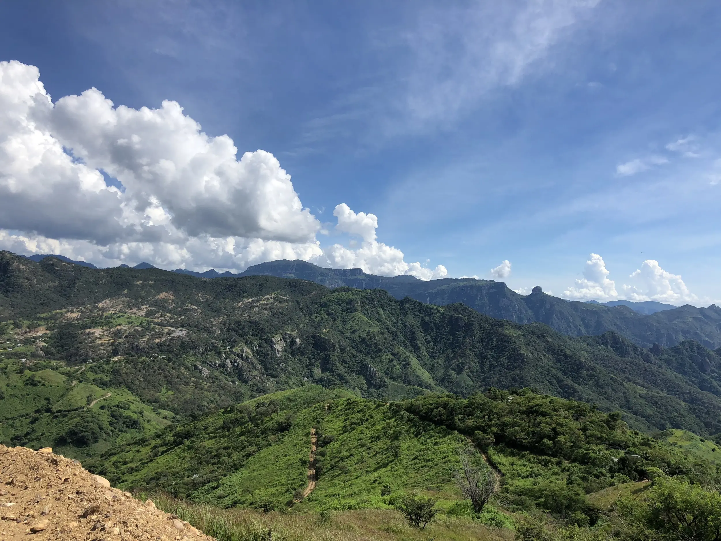 Sierra Madre Occidental in Durango, project area