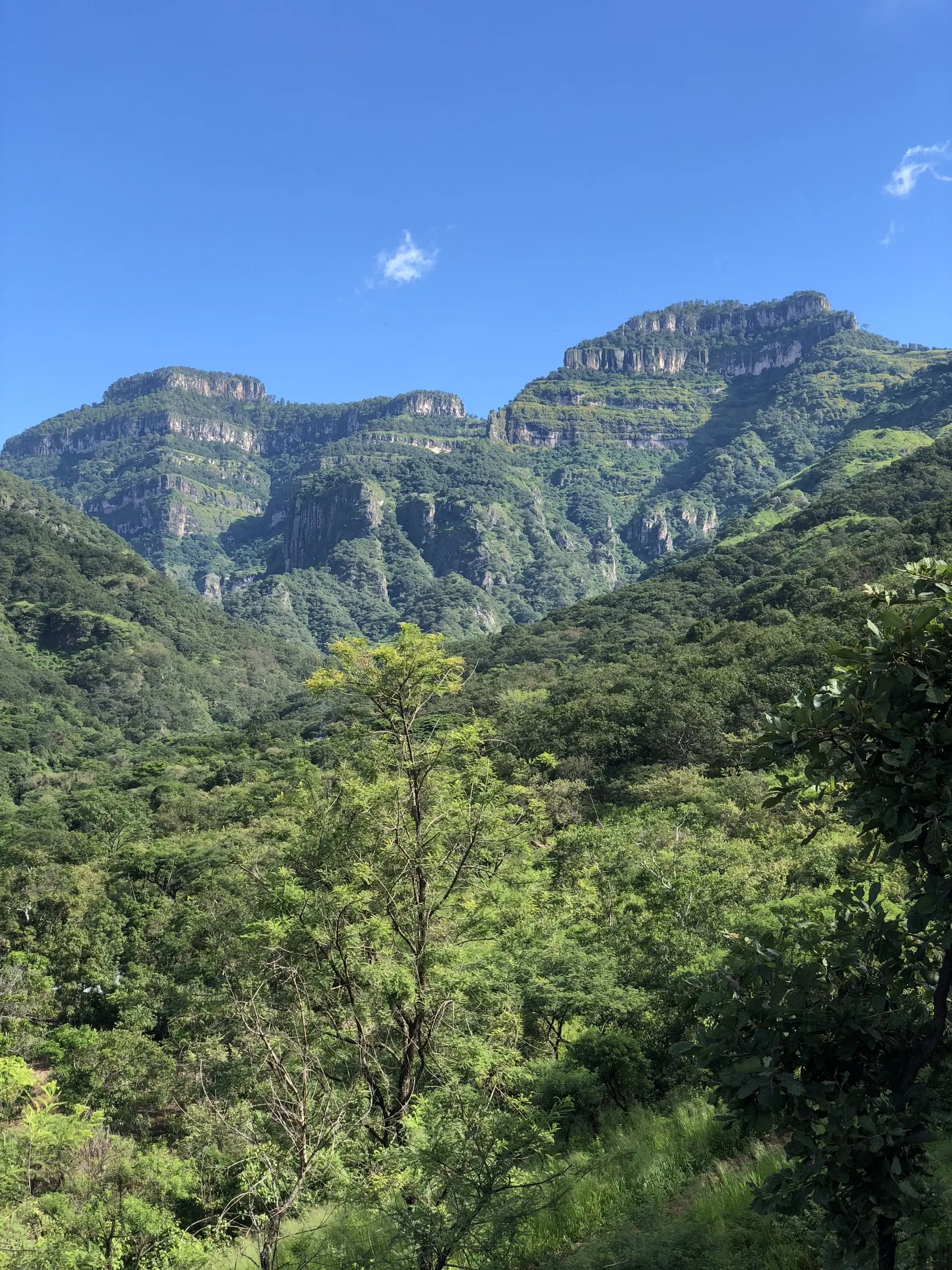 Sierra Madre Occidental in Durango, project area